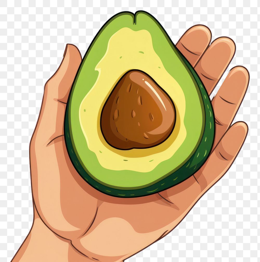 PNG Human hand holding avocado cartoon food freshness.