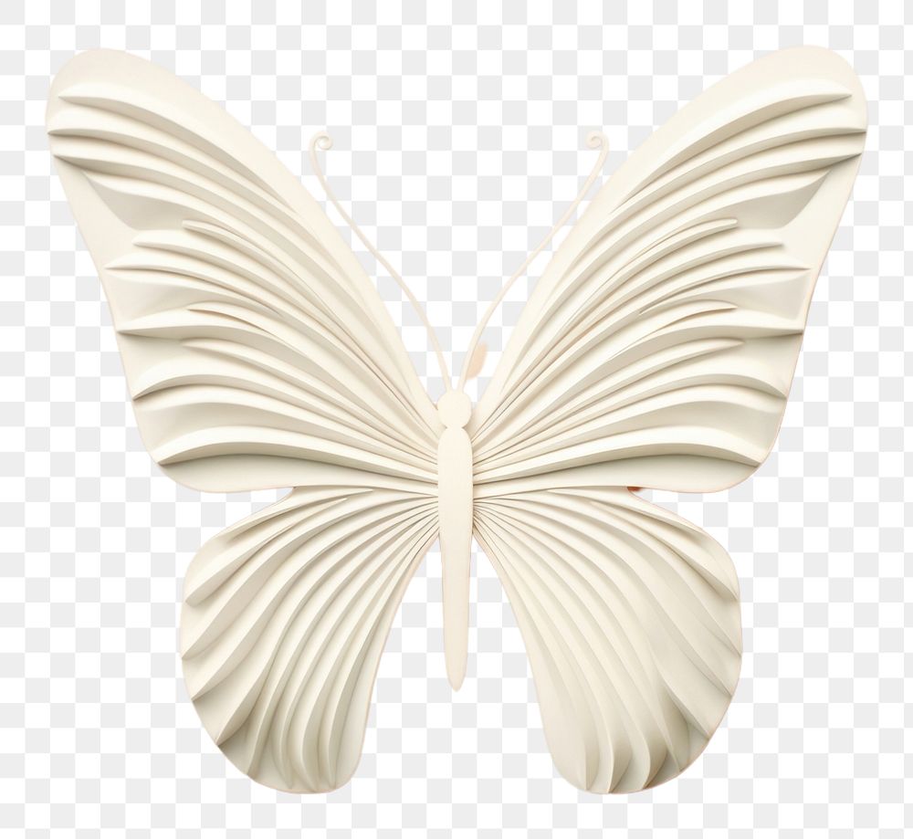 PNG  Minimal butterfly bas relief pattern animal art accessories.
