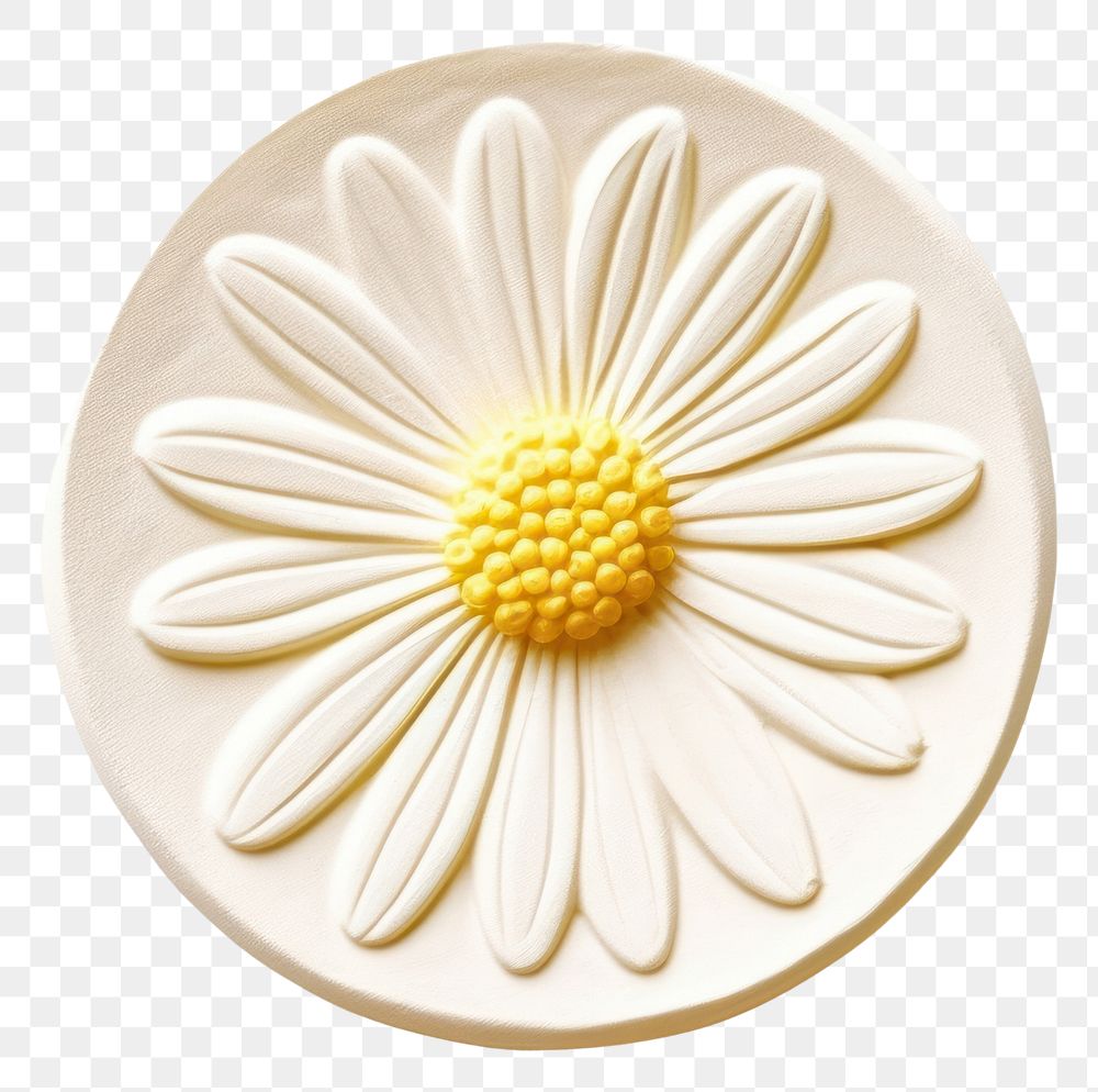 PNG Yellow daisy white white background.