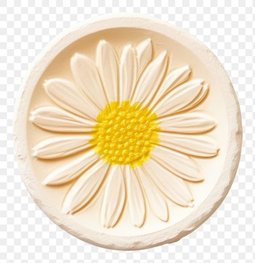 PNG Yellow locket daisy white background.