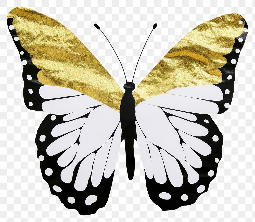 PNG Butterfly ripped paper insect animal white background.