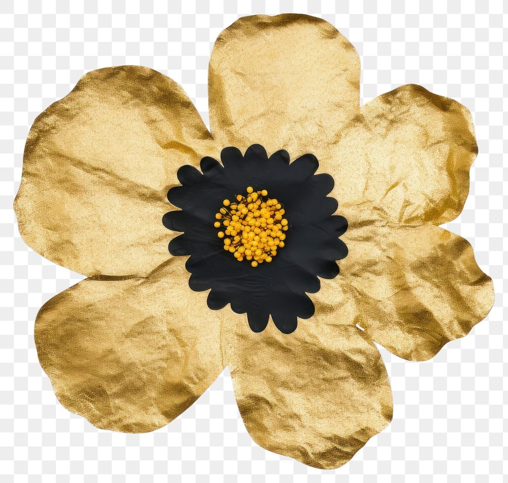 PNG Flower black ripped paper petal plant white background.