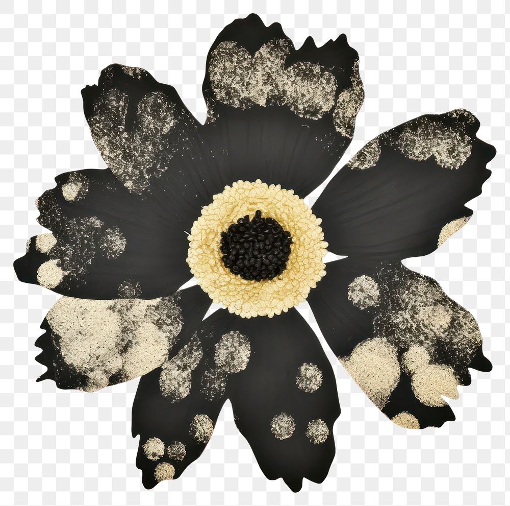 PNG Flower black ripped paper pattern petal plant.
