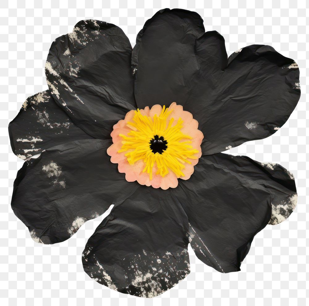 PNG Flower black ripped paper petal plant white background.