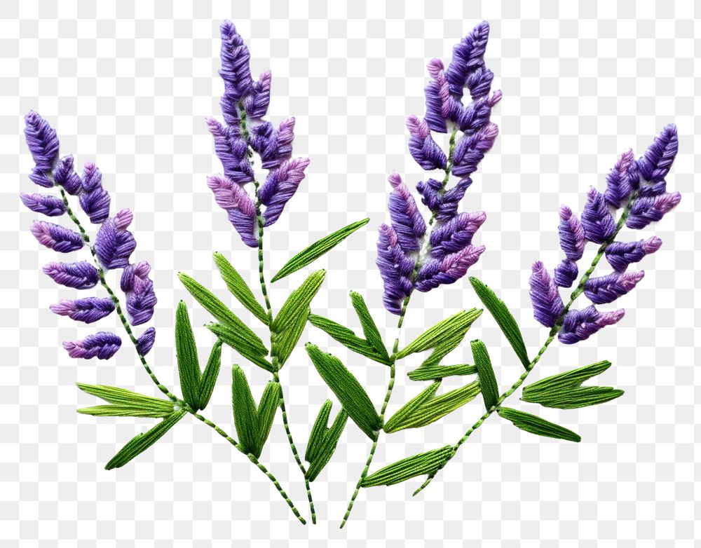 PNG Lavenderin embroidery style flower purple plant.