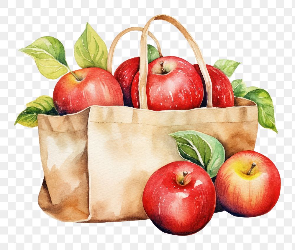 PNG Apples in fruits in shopping bag handbag plant food.