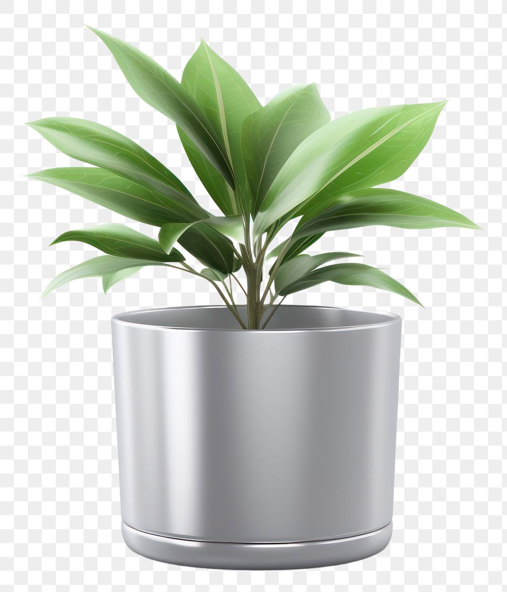 PNG House Plant Chrome material plant leaf vase.