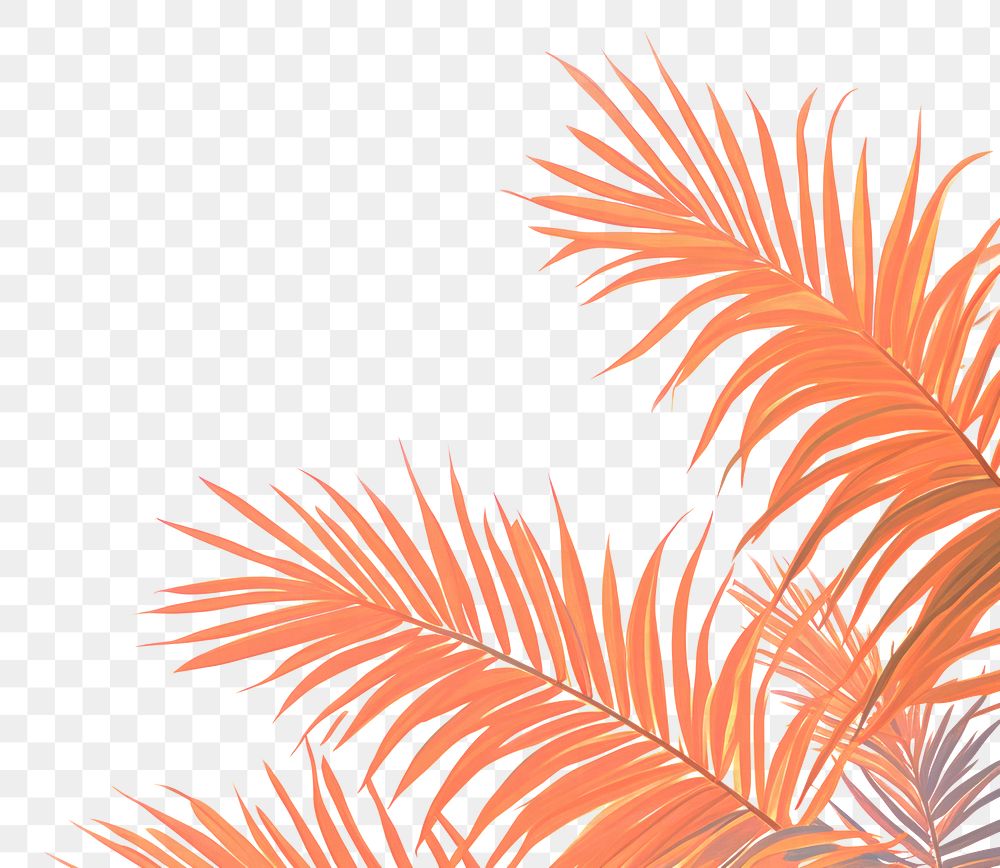 PNG Palm leaves backgrounds outdoors pattern. AI generated Image by rawpixel.