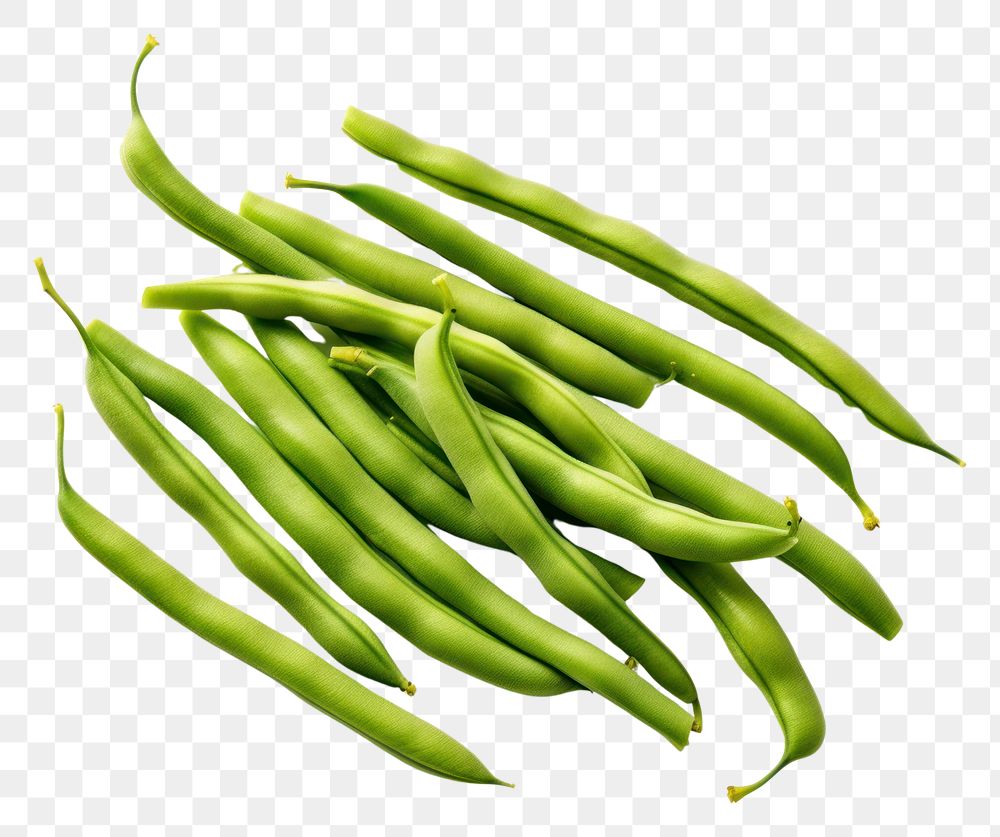 PNG  Green beans vegetable green plant.