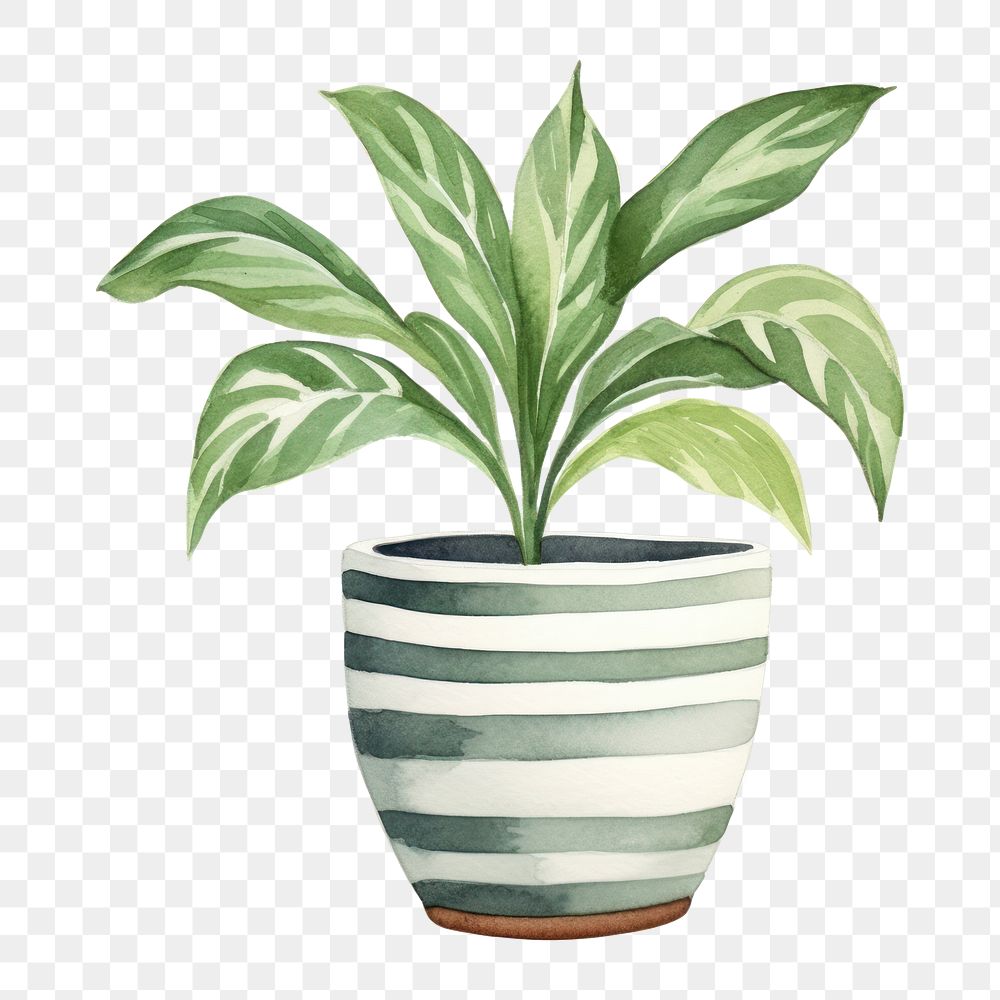 PNG Plant pot vase leaf white background. AI generated Image by rawpixel.