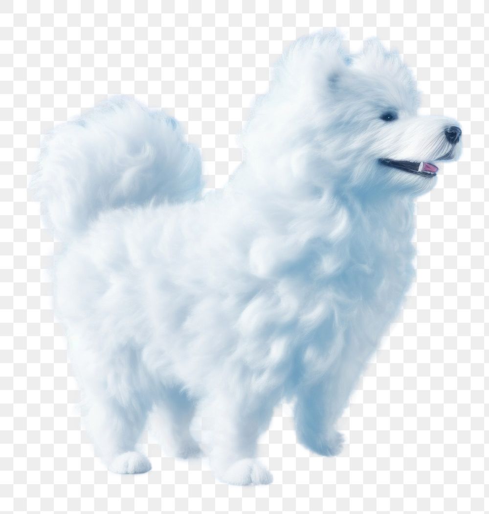PNG  Dog shaped as a cloud outdoors mammal animal.