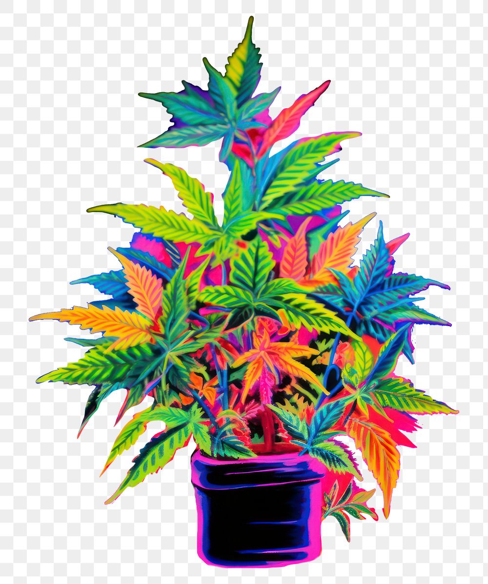 PNG  A marijuana purple pattern yellow. AI generated Image by rawpixel.