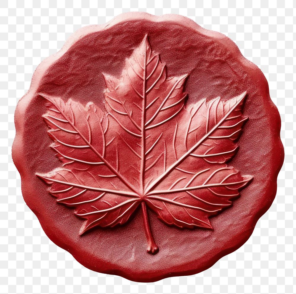 PNG Seal Wax Stamp maple leaf plant food white background.