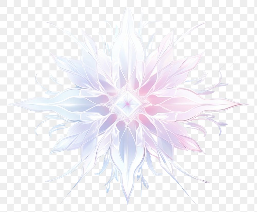 PNG Snow crystal pattern flower art.