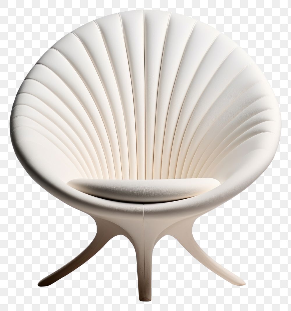PNG A white shell chair furniture invertebrate simplicity.