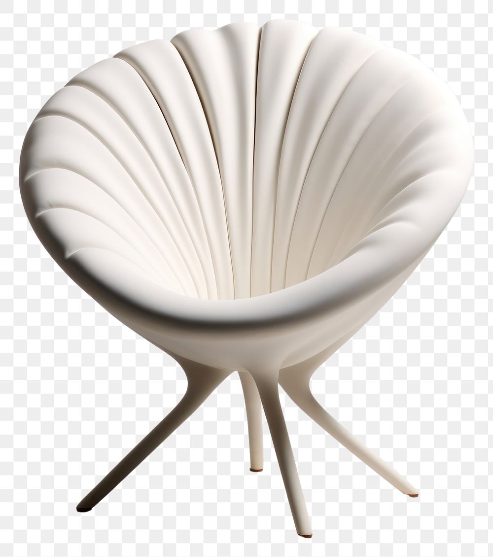 PNG A white shell chair furniture invertebrate simplicity.