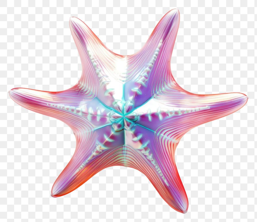 PNG Starfish background white background echinoderm jewelry.