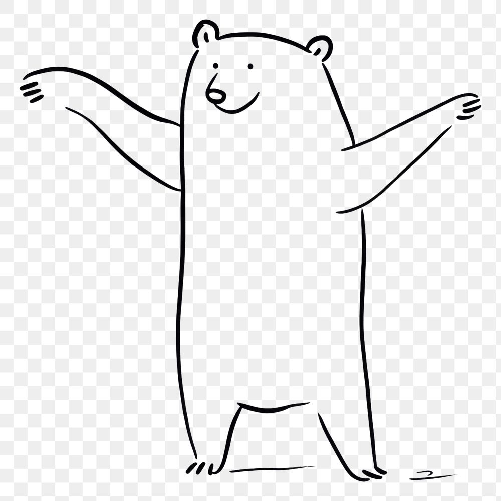 PNG Bear sketch drawing mammal.