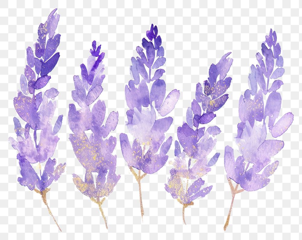 PNG Golden glitter outline stroke with purple watercolor lavender flower plant freshness.