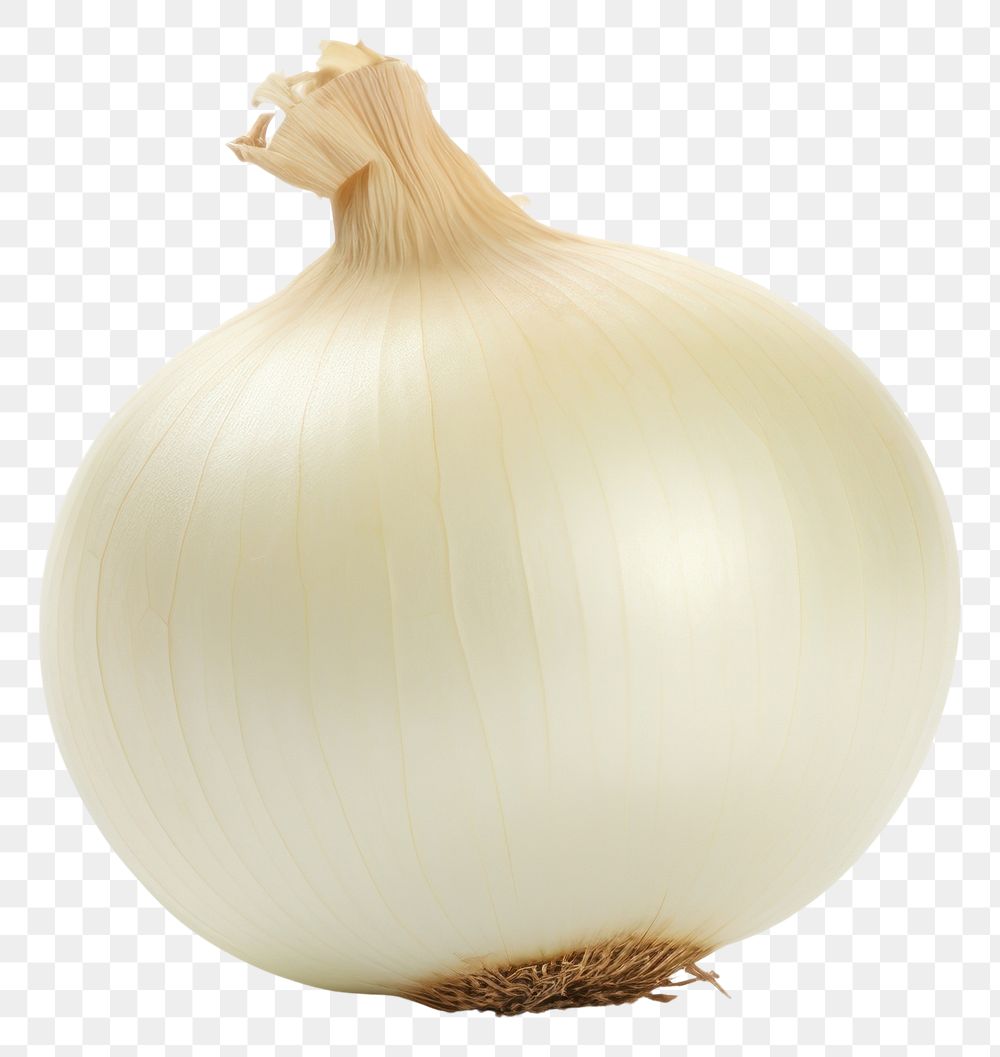 PNG White onion vegetable shallot plant.