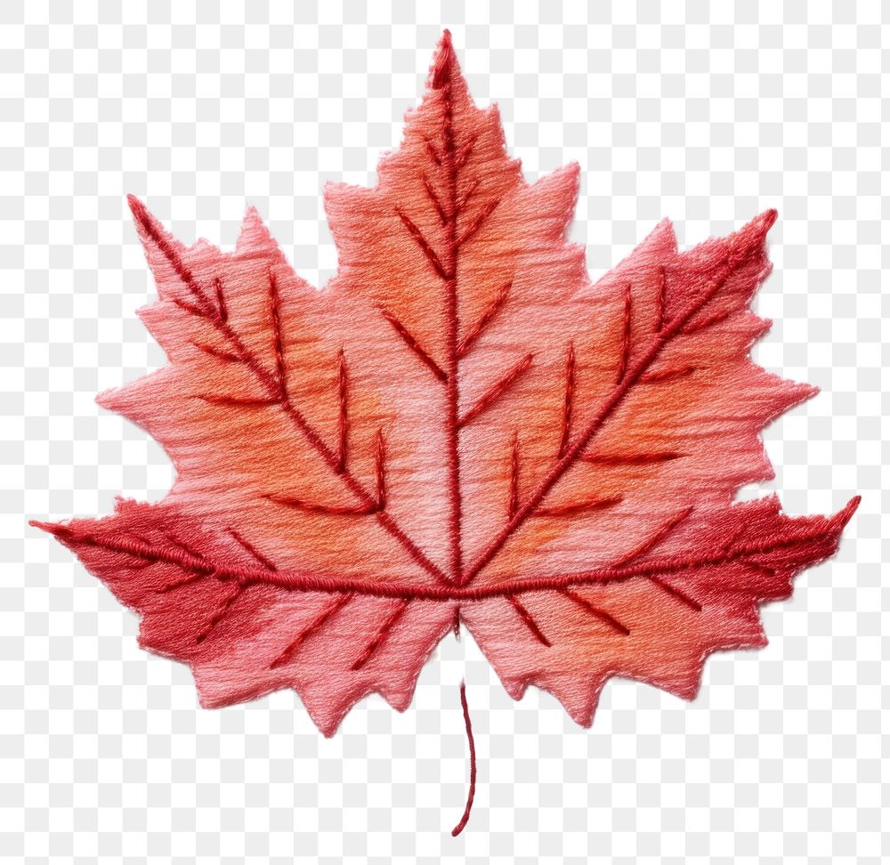 PNG Maple leaf in embroidery style plant tree creativity.