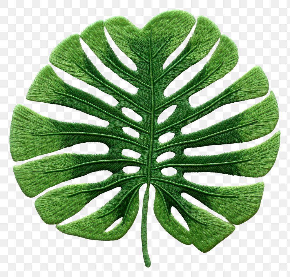 PNG Tropical leaf in embroidery style pattern plant accessories.