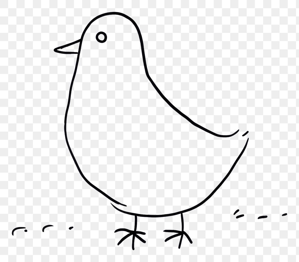PNG Pigeon sketch drawing animal.
