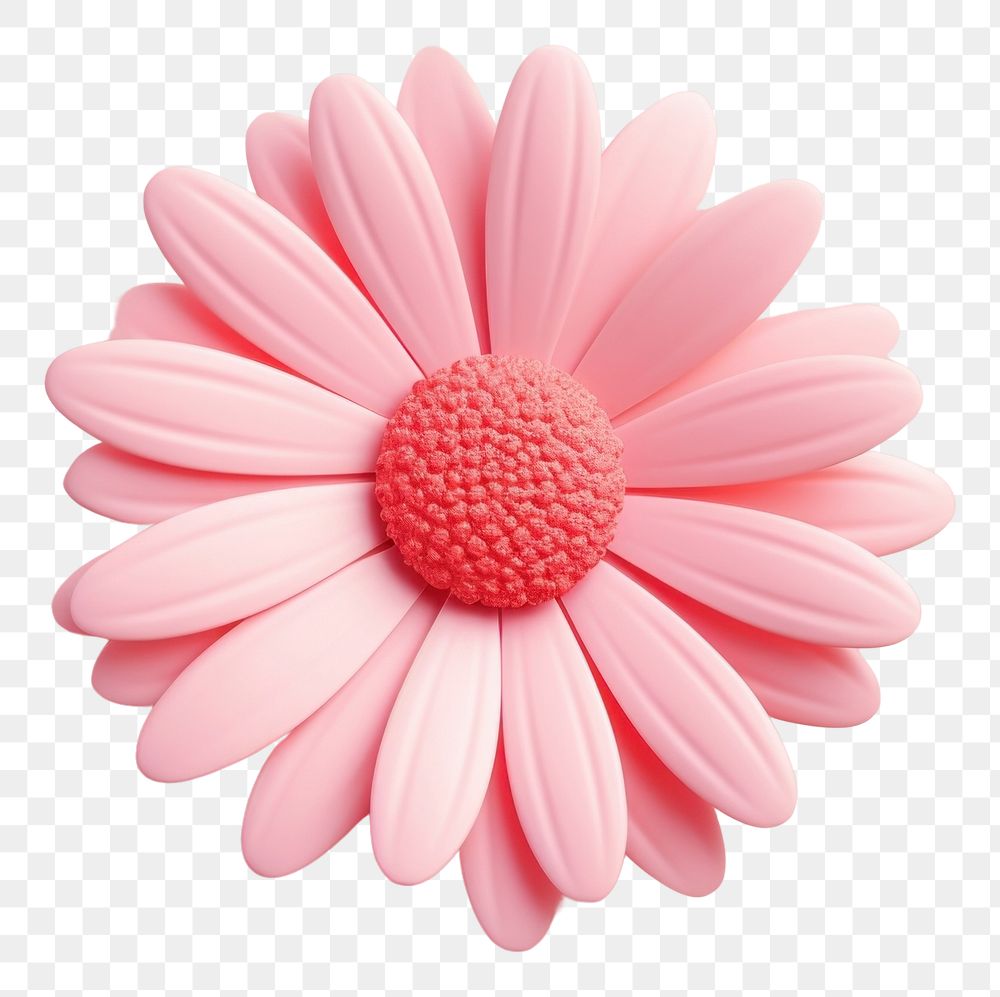 PNG Pink daisy flower petal plant.