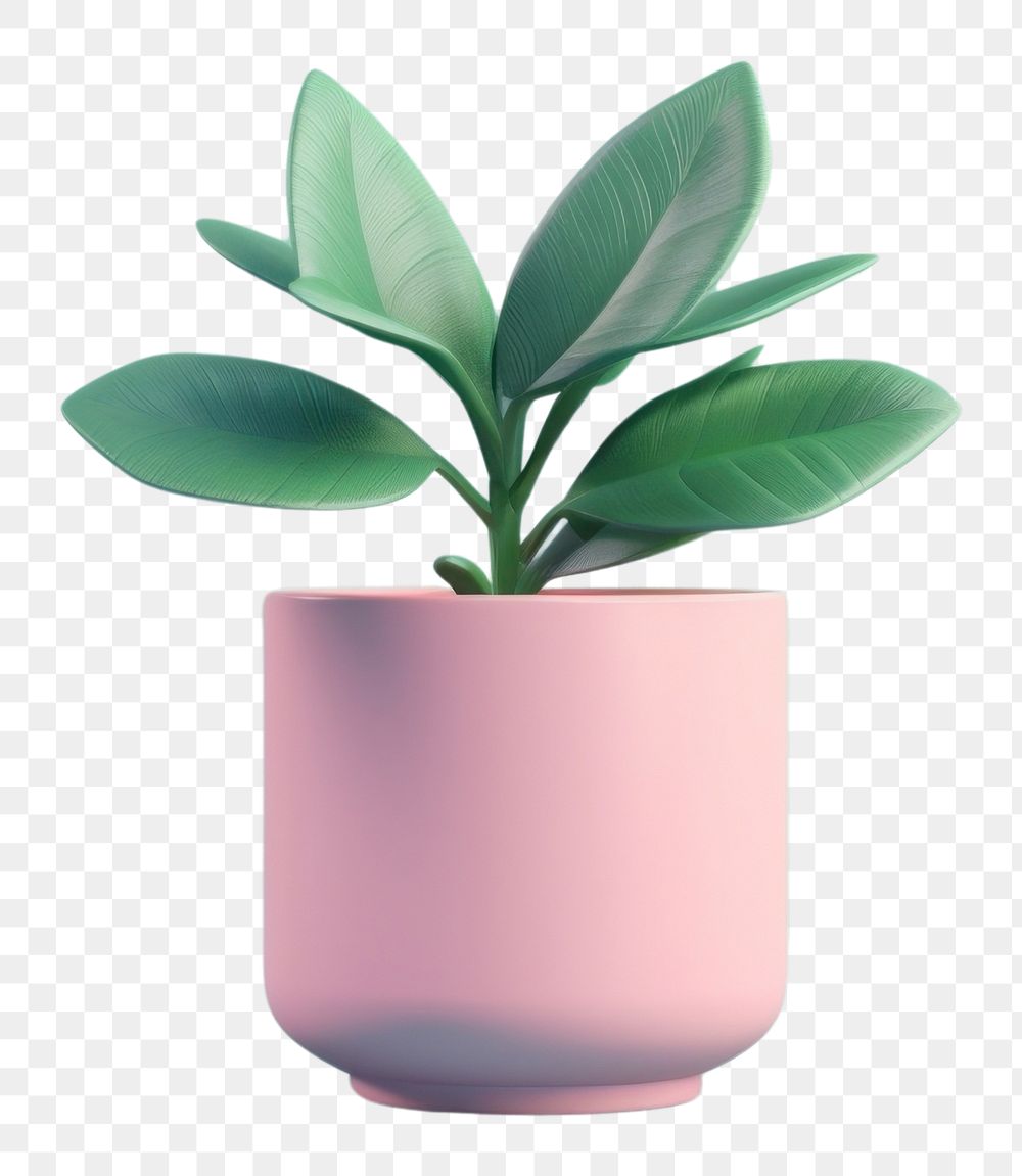 PNG Plant vase leaf houseplant.