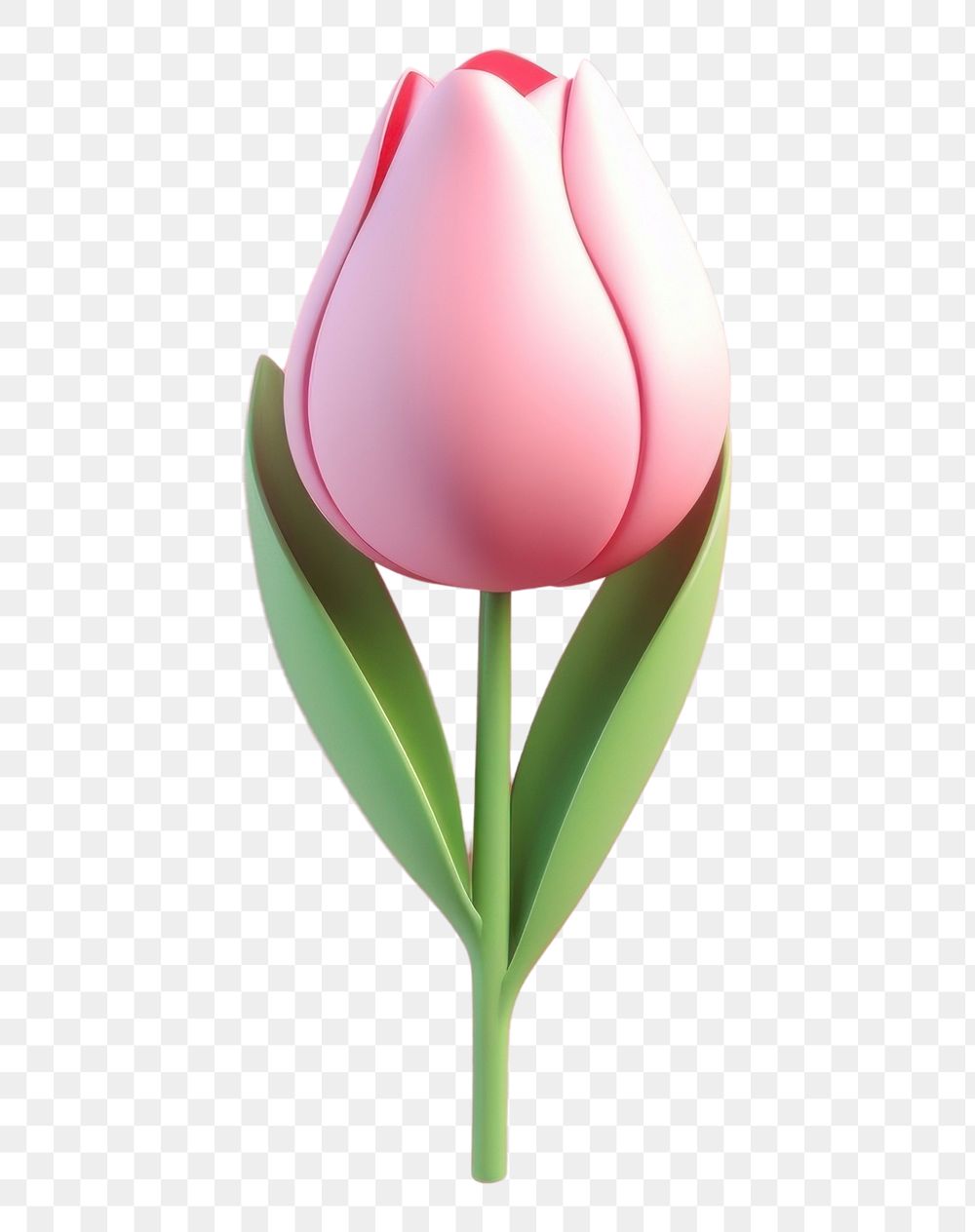 PNG Tulip flower plant inflorescence.