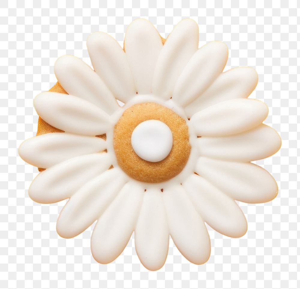 PNG Daisy flower plant icing. AI generated Image by rawpixel.