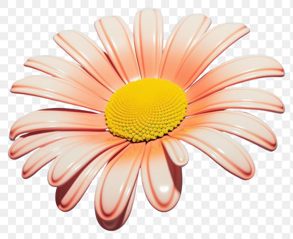 PNG Memphis design of daisy asteraceae blossom pattern.