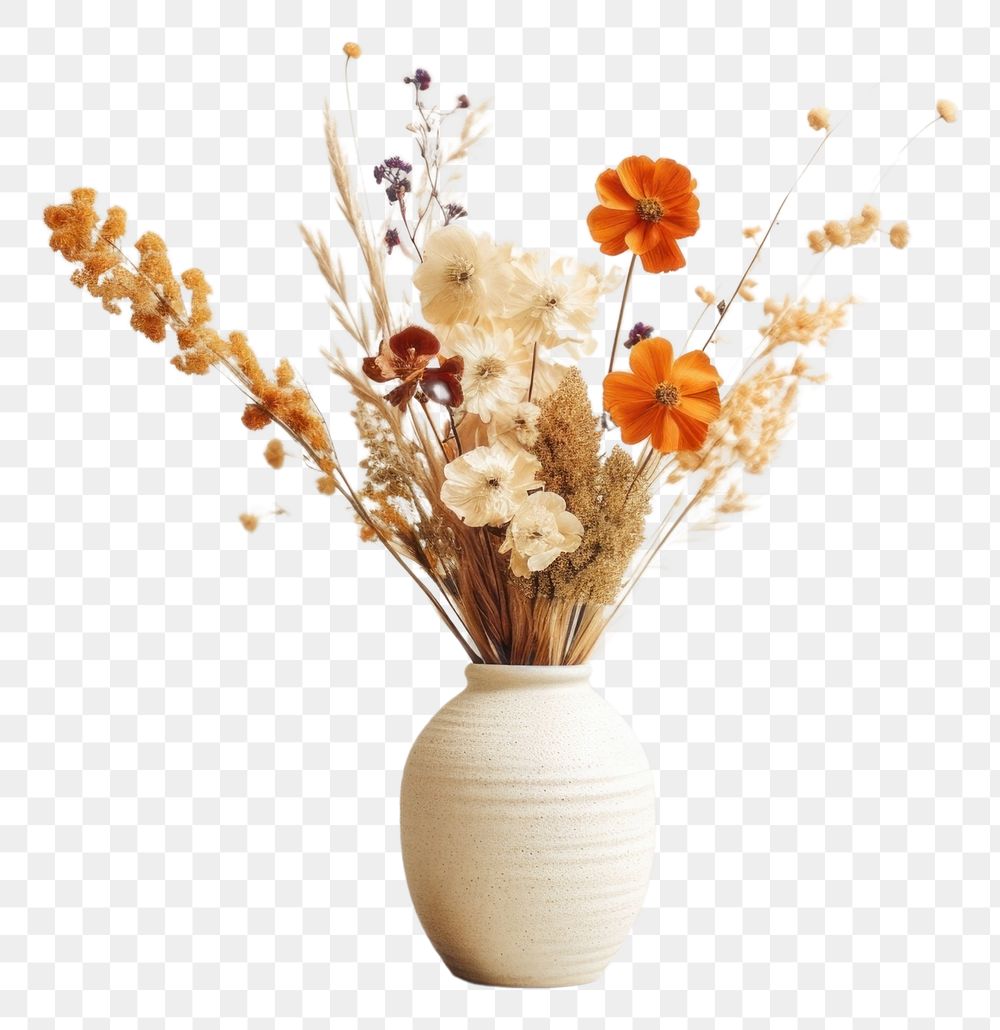 PNG  Dried colorful assorted flowers vase plant white. AI generated Image by rawpixel.