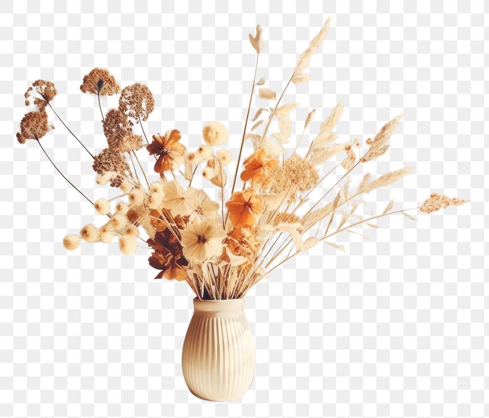 PNG  Dried colorful assorted flowers plant white vase. AI generated Image by rawpixel.