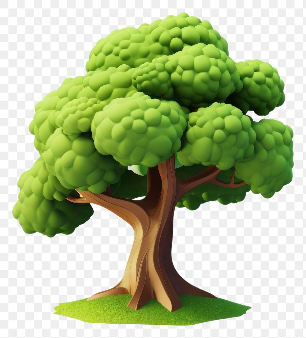 PNG Tree broccoli plant white background.