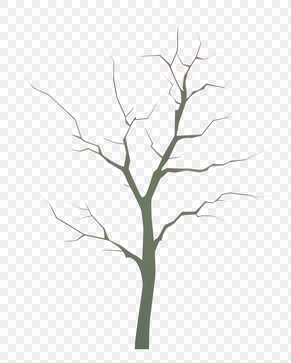PNG A tree drawing sketch plant.