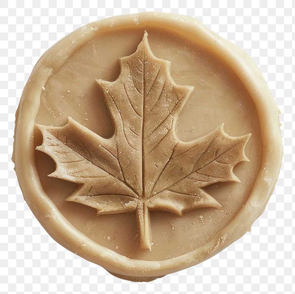 PNG Seal Wax Stamp maple leaf plant white background freshness.