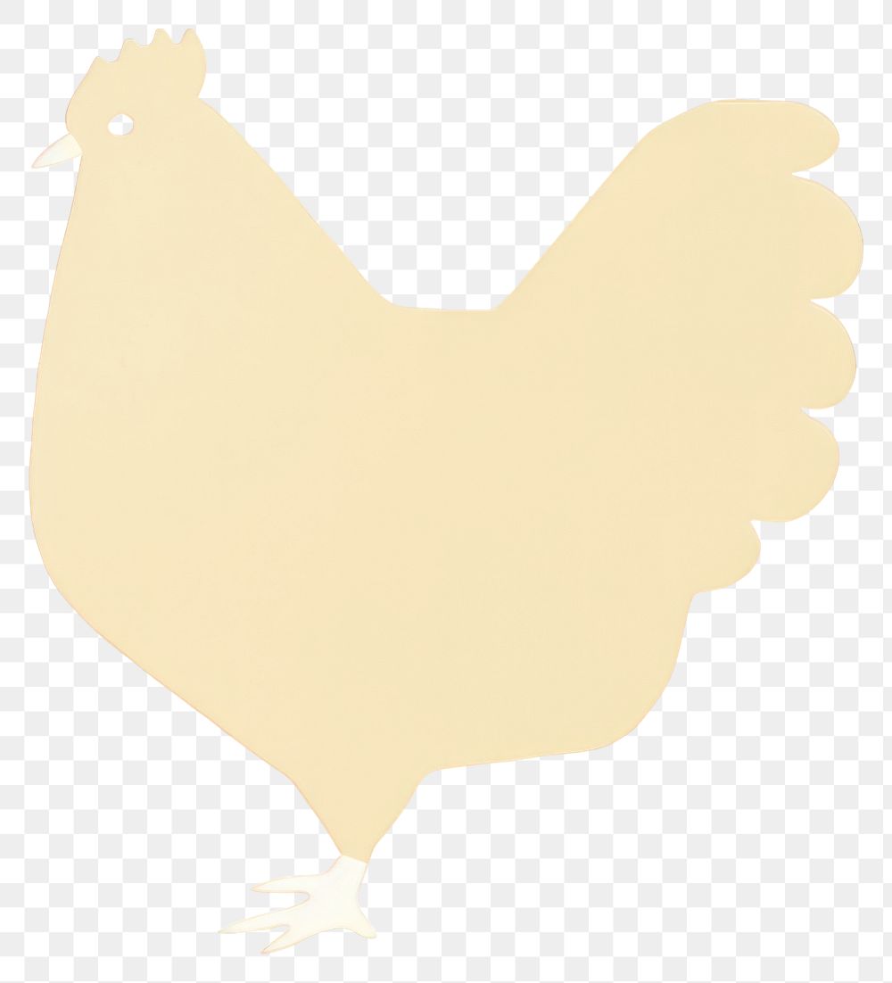PNG  Illustration of chicken poultry animal bird.