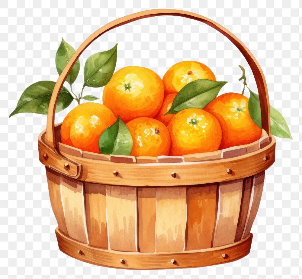 PNG Orange basket clementine grapefruit.