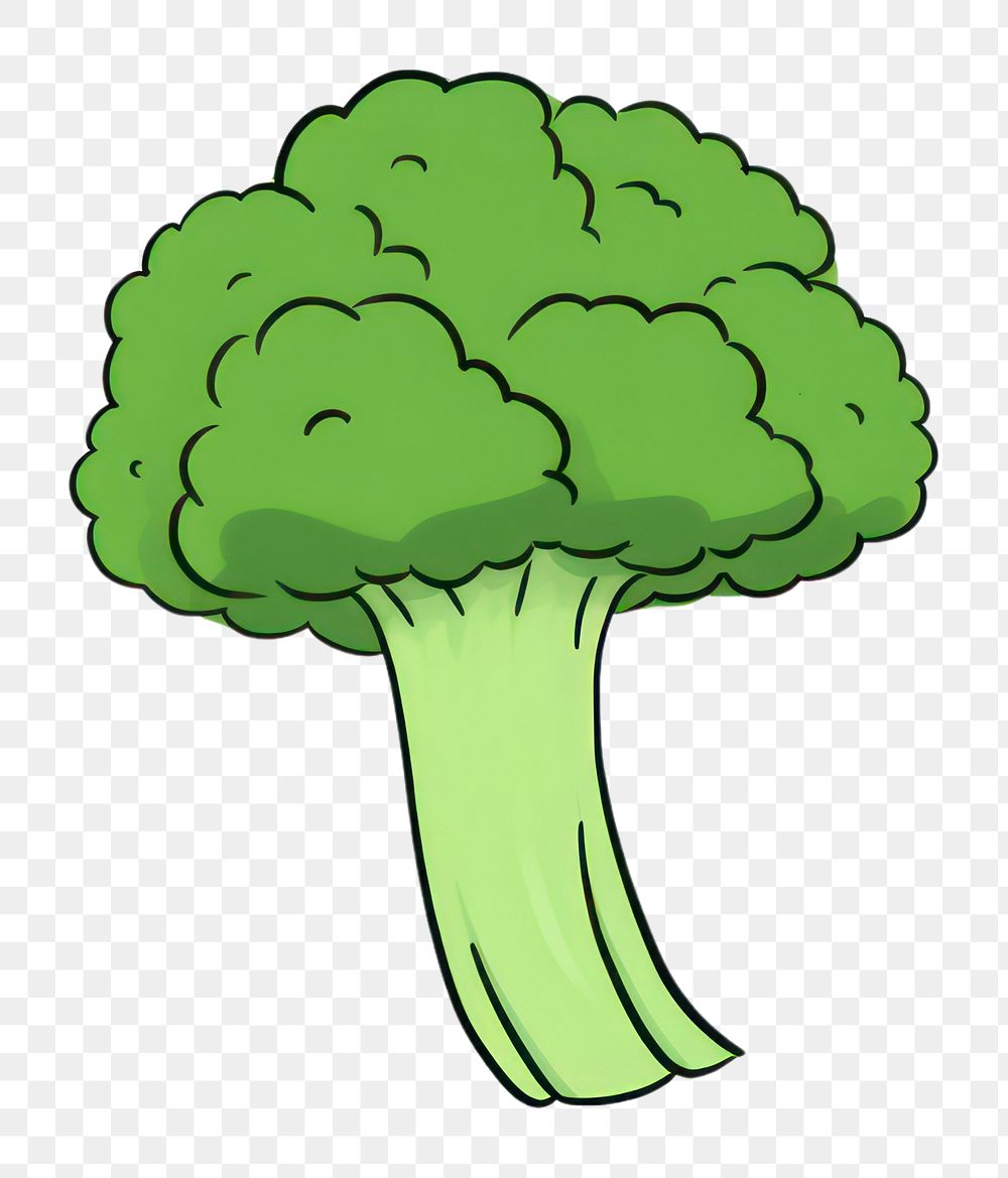 PNG Broccoli vegetable drawing plant.