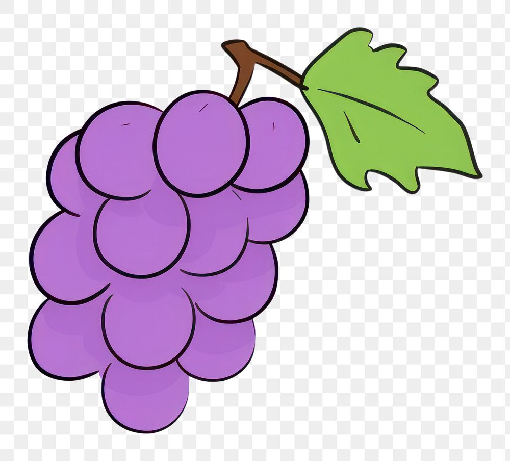 PNG Grape grapes fruit plant.
