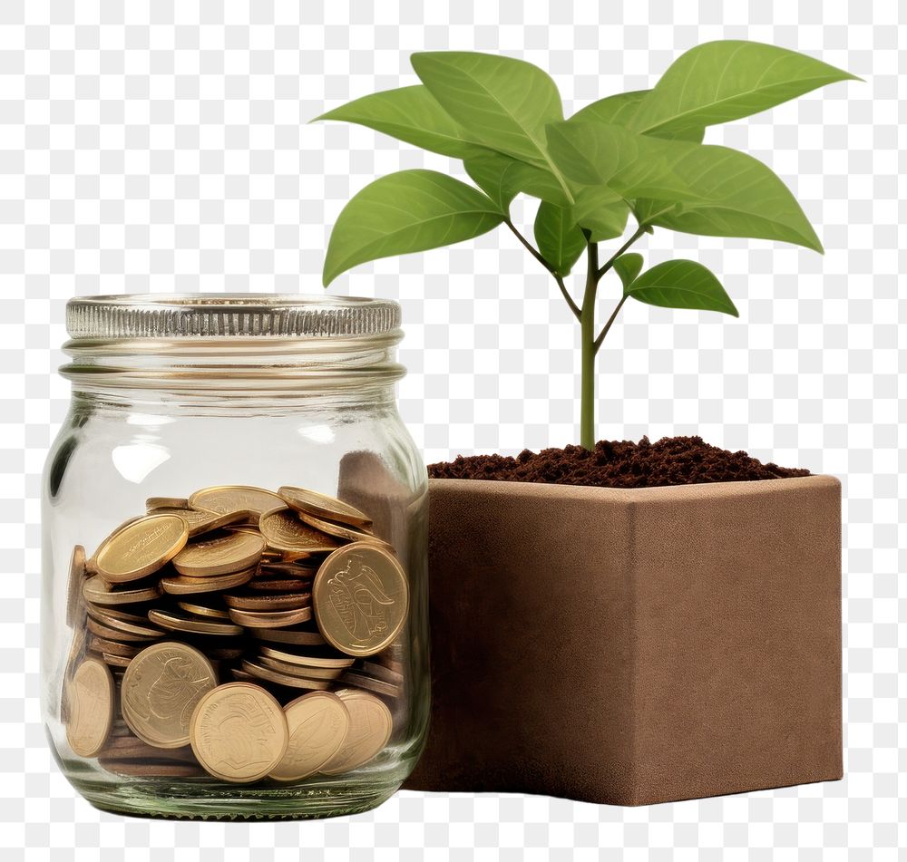 PNG Jar of money plant green leaf.
