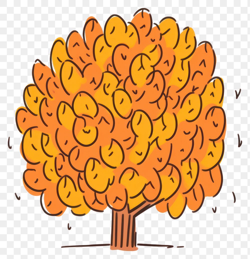 PNG Fall tree cartoon drawing plant.