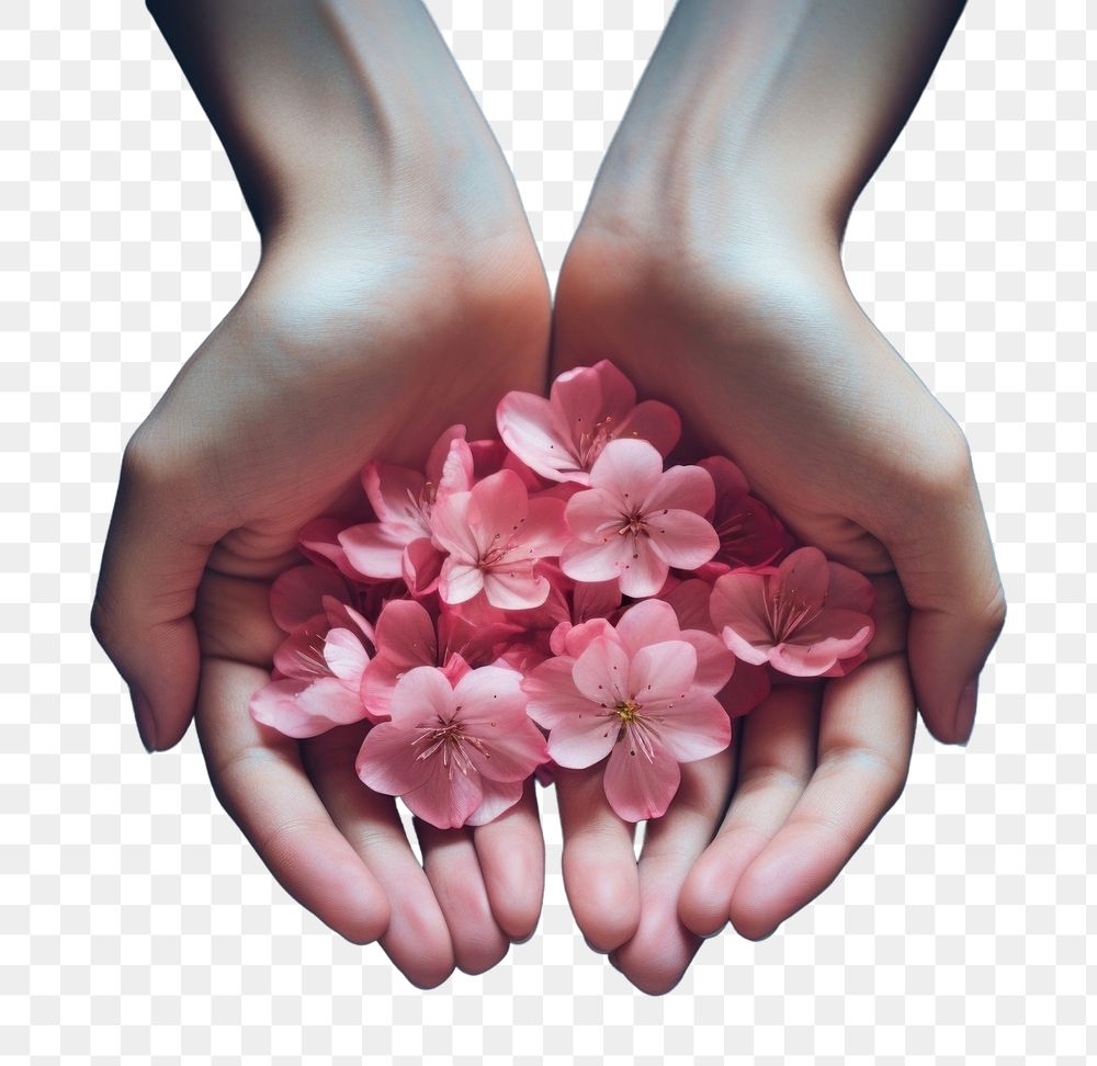 PNG Hope Bloom hand flower petal. AI generated Image by rawpixel.