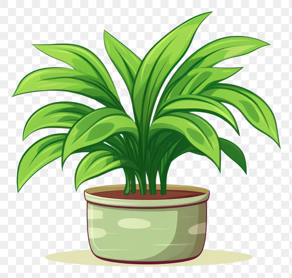 PNG Indoor plant cartoon green leaf.