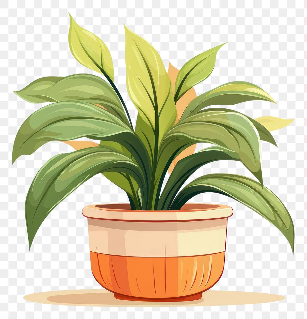 PNG Indoor plant cartoon leaf white background.