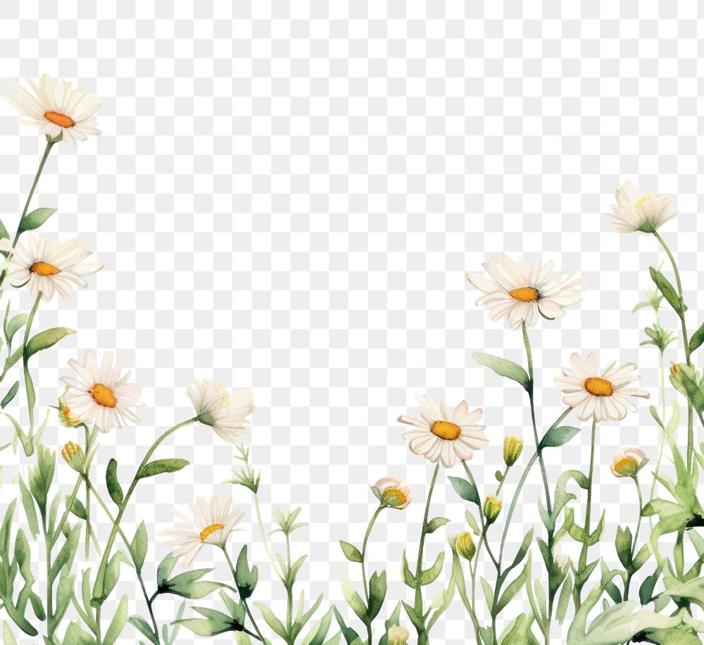 PNG Little daisy square border pattern backgrounds flower