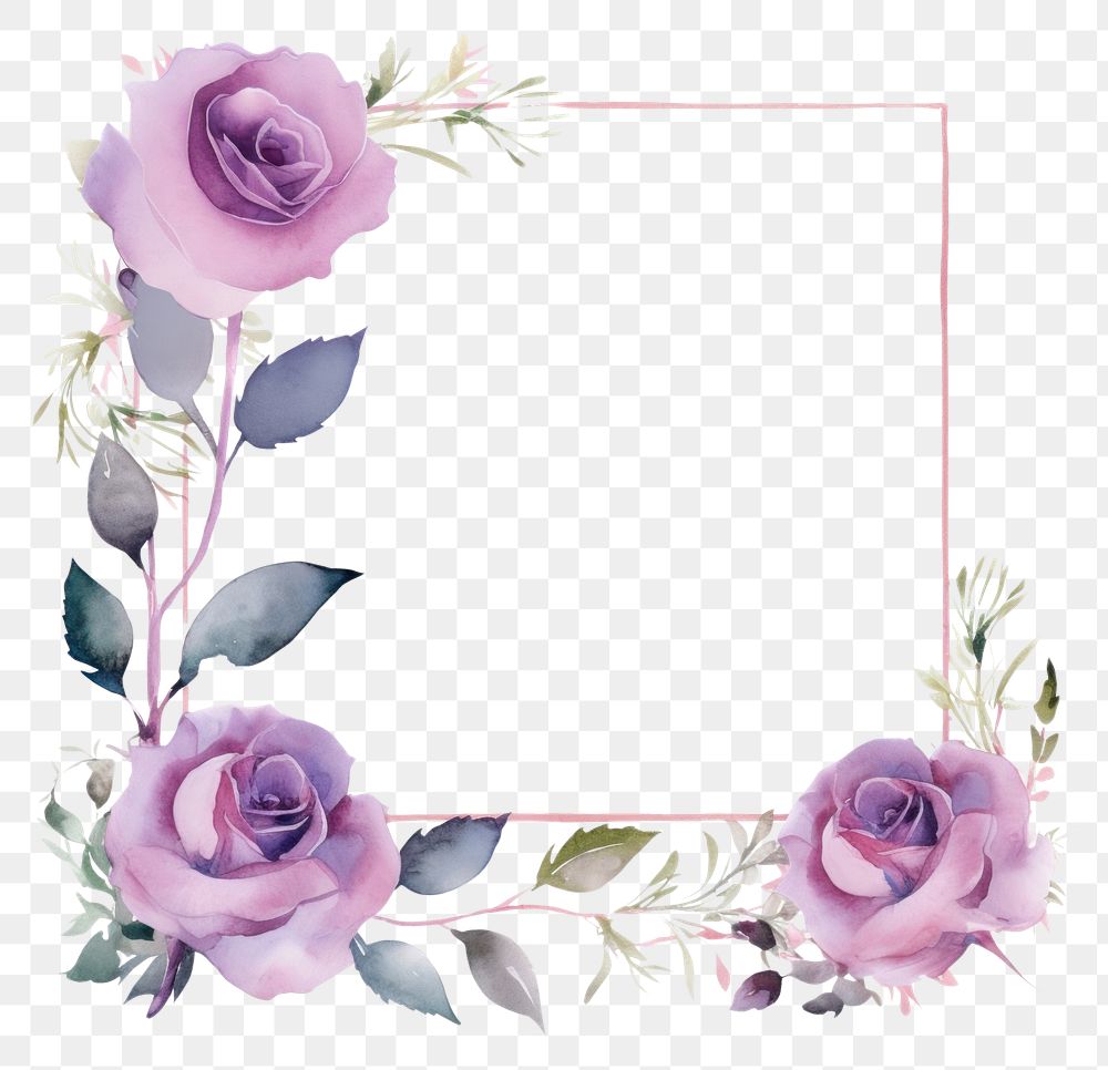 PNG Purple rose square border pattern flower plant. AI generated Image by rawpixel.