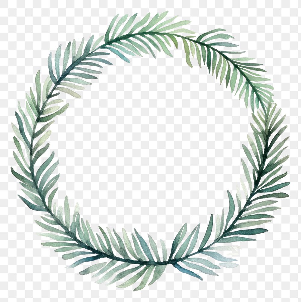 PNG Pine wreath circle border pattern plant leaf. AI generated Image by rawpixel.