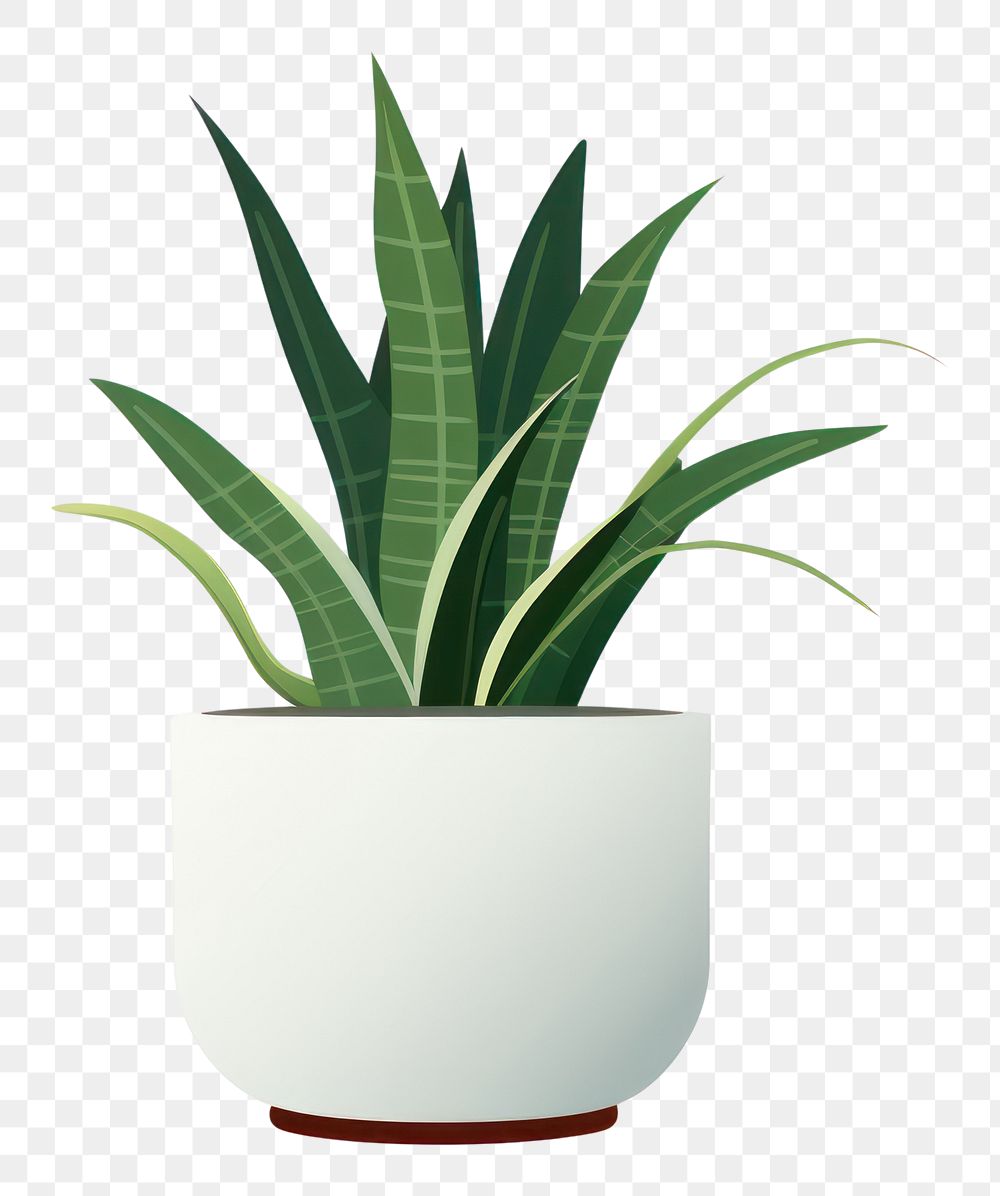 PNG Plant leaf vase white background.